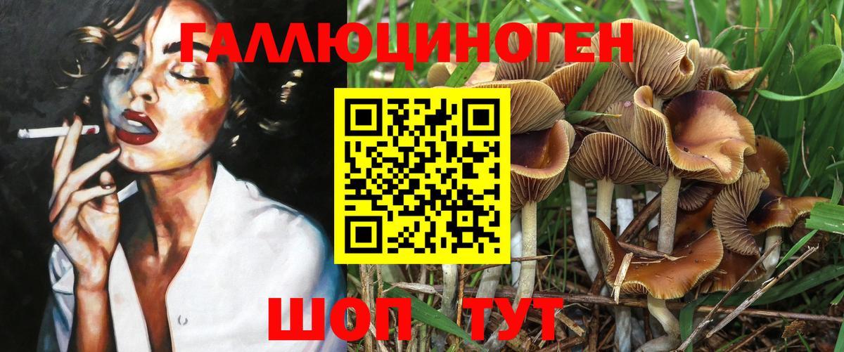 Галлюциногенные грибы Psilocybe  Вход с VPN  Кунгур 
